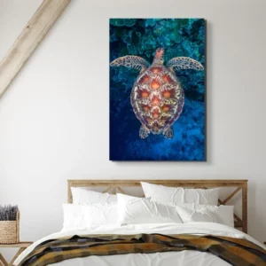 Turtles